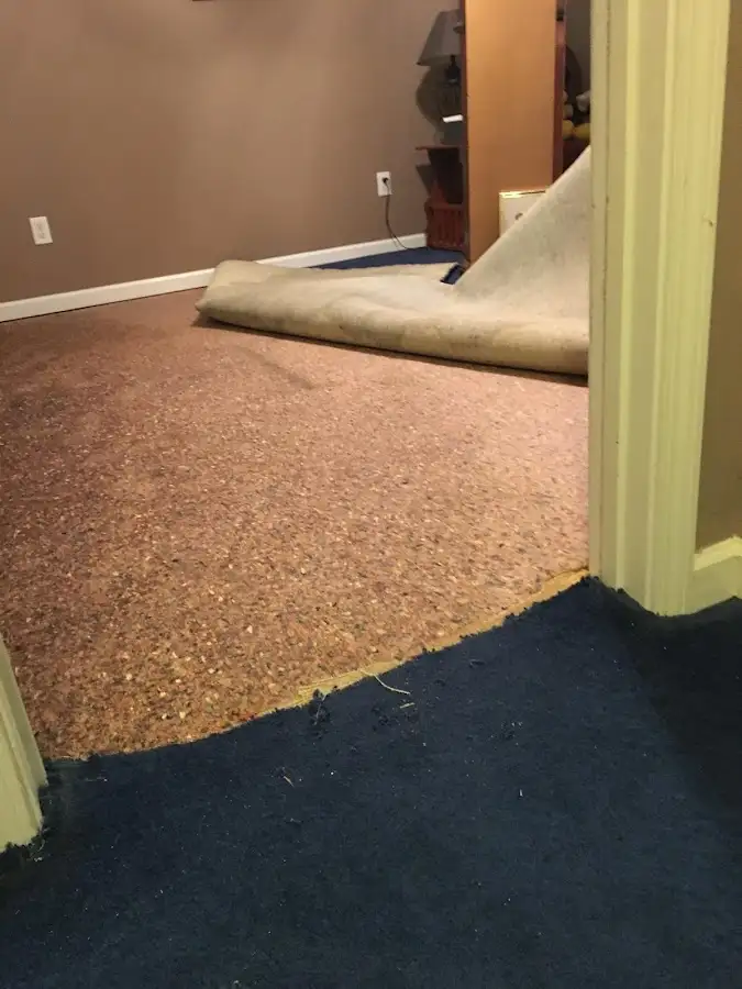 Carpet pad removal revealing water damage during Water Mitigation Services in Stoughton