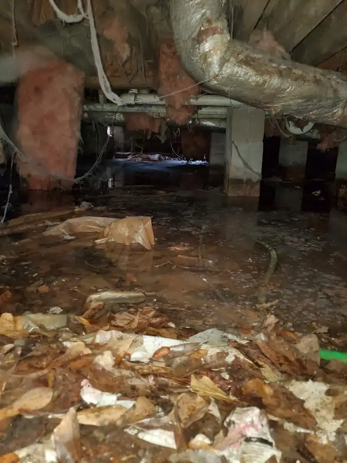 Crawl space flood assessment for Leak Detection & Repair in Stoughton